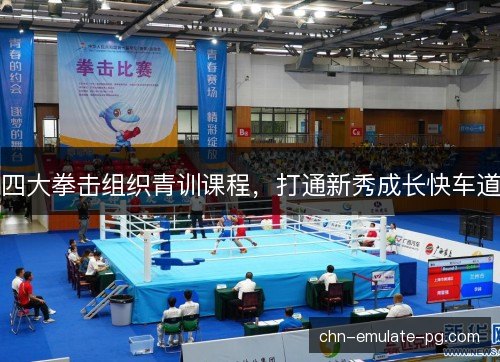 四大拳击组织青训课程，打通新秀成长快车道